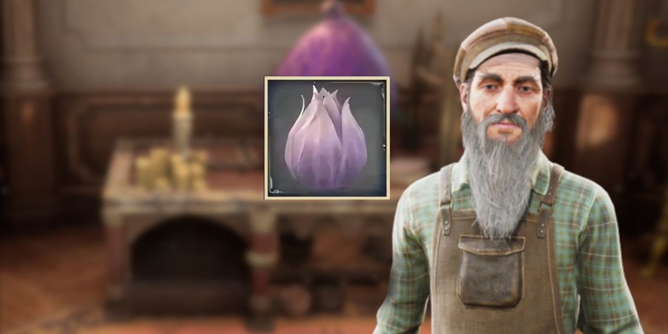 Абиссинская смоковница (Инжир, Фиговое дерево) в Hogwarts Legacy: где взять Абиссинская смоковница (Инжир, Фиговое дерево) в Hogwarts Legacy: где взять