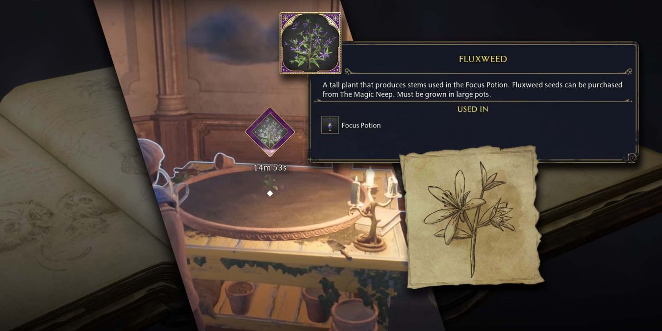 Водоросли в Hogwarts Legacy: где взять