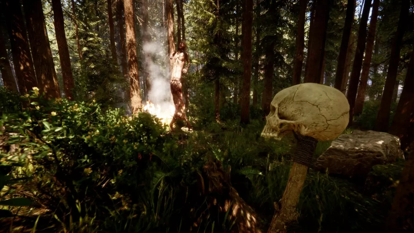 Как использовать предметы в инвентаре в Sons of the Forest