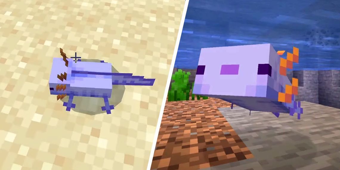 Как спавнить голубых аксолотлей в каждой версии Minecraft