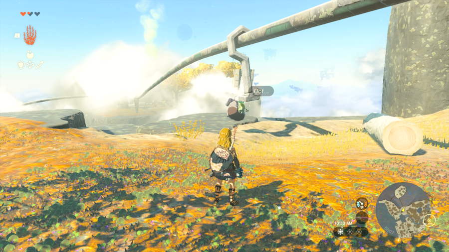 Как переправить Корока через пропасть в Zelda: Tears of the Kingdom