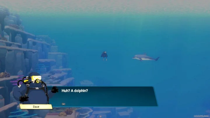 Как помочь дельфинам в Dave the Diver