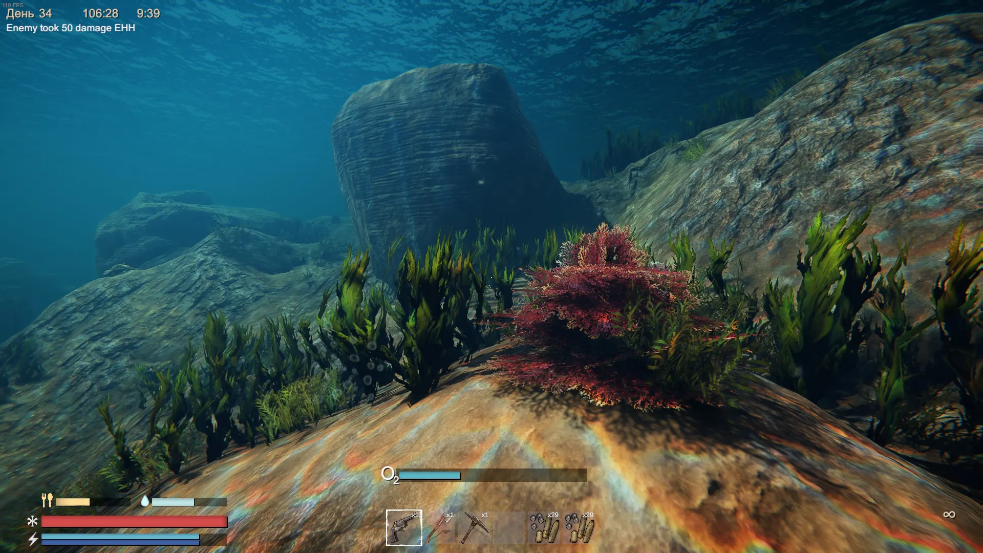 Красные водоросли в Sunkenland: где найти