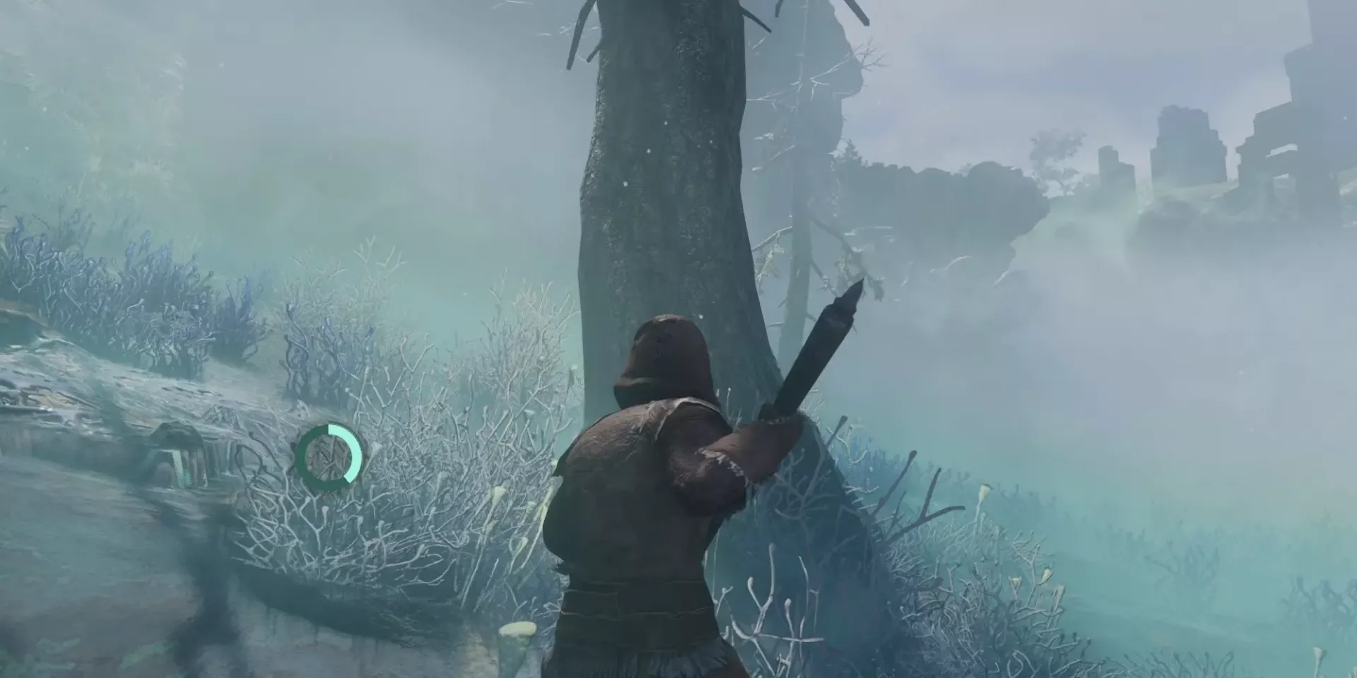 Запелененное дерево в Enshrouded: где найти