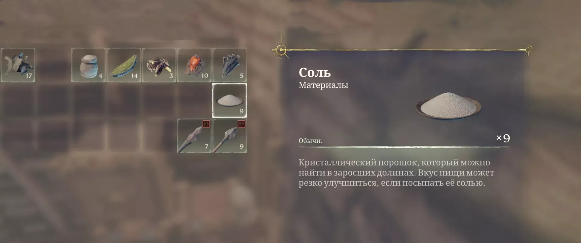 Соль в Enshrouded: где взять