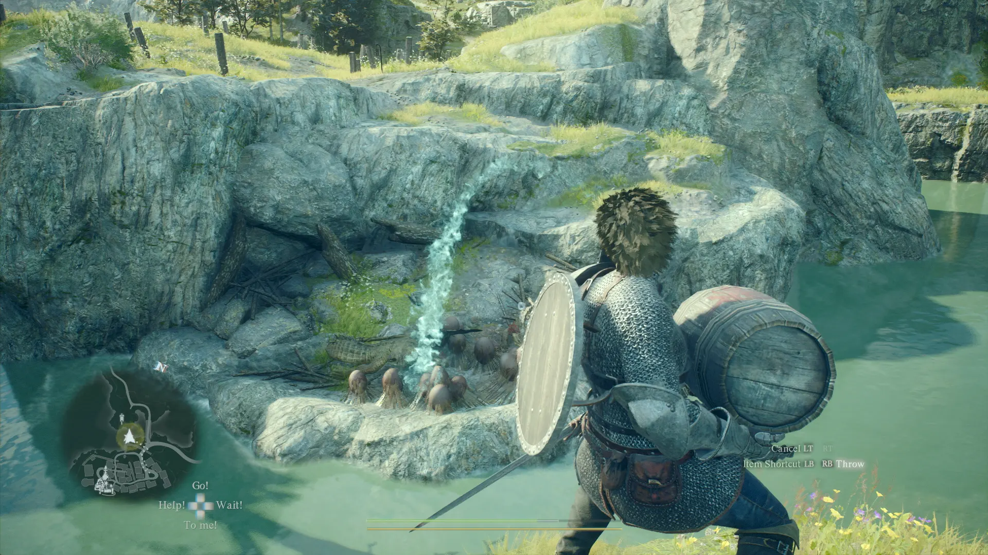 Гнездо неприятностей в Dragon’s Dogma 2: как уничтожить гнездо ящеров