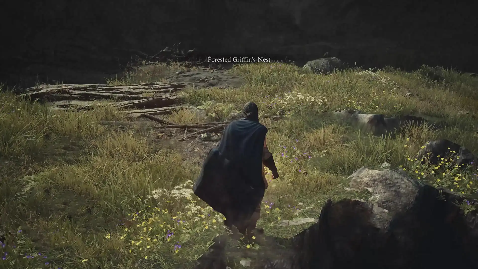 Гнездо грифона в лесу в Dragon’s Dogma 2: где найти