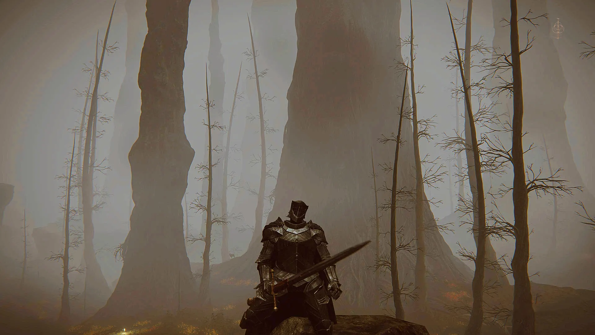 Лес бездны в Elden Ring Shadow of the Erdtree: как попасть и найти карту