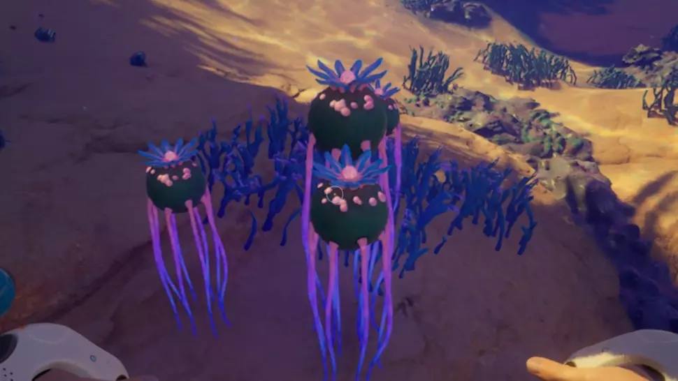 Циста некролеи в Subnautica 2: где найти